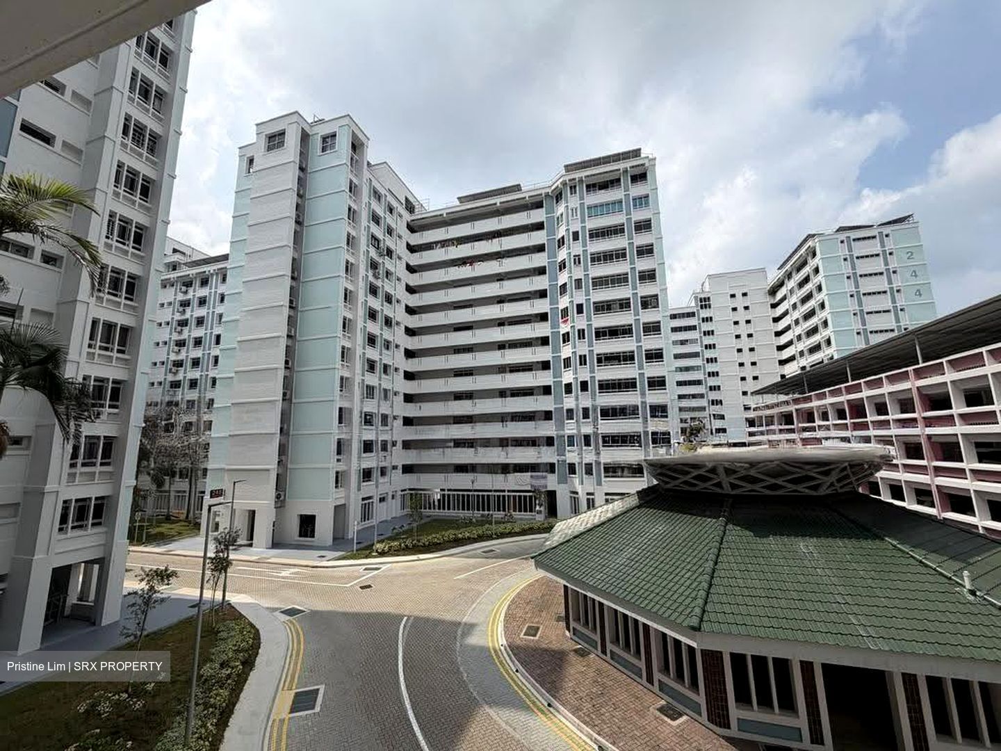 Blk 248 Pasir Ris Street 21 (Pasir Ris), HDB Executive #623186201